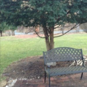 Meet your Posher, Pat